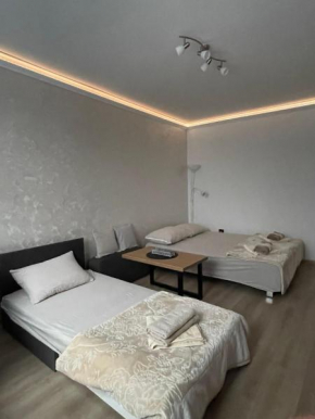 Apartman Silver Bg